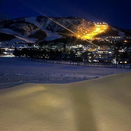 Apartmán Unique, At Geilo *